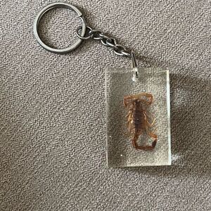 Unique Real Scorpion in Enamel Keychain - Intriguing Natural Elegance!